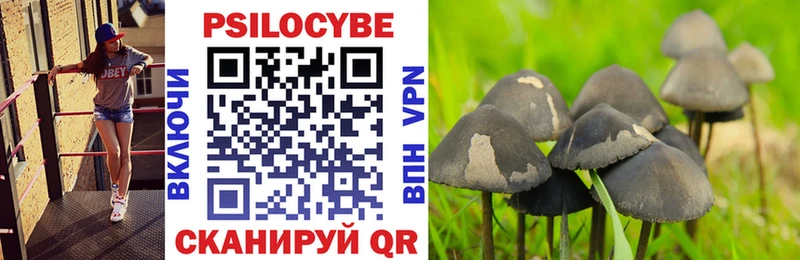 Галлюциногенные грибы Psilocybine cubensis  Усть-Джегута 